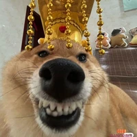 chó nhà tui ( hoàng đế nhất thiên hạ)🐶