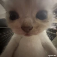 Phạm Khôi Vũ (xưa)