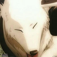 akamaru