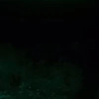 ? ? ? 