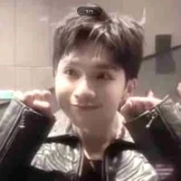 Ngô Nguyên Bình#Vương Bình#