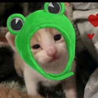 bị les á được chưa