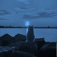 •Nờ Tờ Nờ•