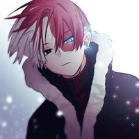 Todoroki shoto [ Shoto ]