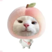 Mộng Đào Đào (t/g)