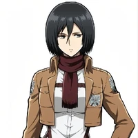 Mikasa