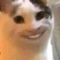 P.Vy ( lp trưởng)