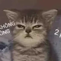 Trần Nguyễn Khánh Linh