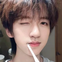 Hạ Tuấn Lâm