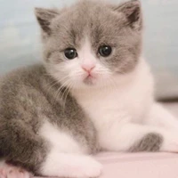 Sữa_🍼