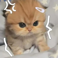 Nguyệt Minh (hệ thống)