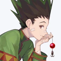 Gon Freecss