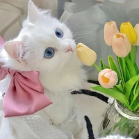 Thối iêu💕💕