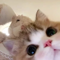 Tất cả mọi người