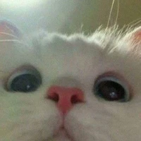 TG cute