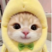 Quyên góp tiền