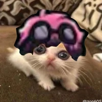 Con t/g lười biếng 