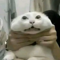 All-trừ ai thì trừ...