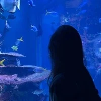 tác giả thích viết lách