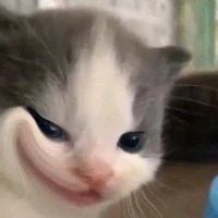 tg nek