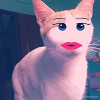 t/g(sốp nè🤡)