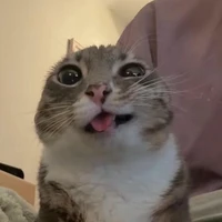 t/g 3 (mê nghịch ái)