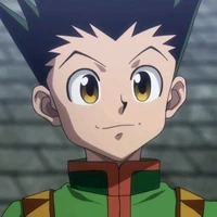 Gon Freecss