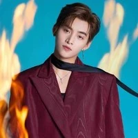 Huỳnh Hoàng Hùng (gemmini hùng huỳnh)