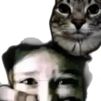 bất kỳ ai