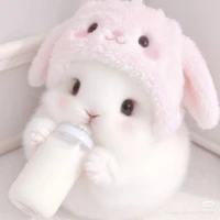 Bé Thỏ _tg
