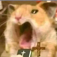 hamster(hệ thống)