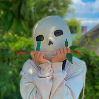 alpha sans