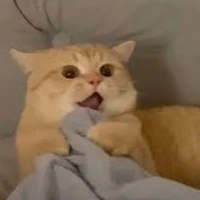 Diệp