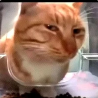 Thư