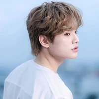 Bùi Trường Linh - Buitruonglinh
