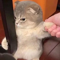 con bạn còn lại