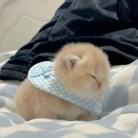 Tập thể ồn nhất khối