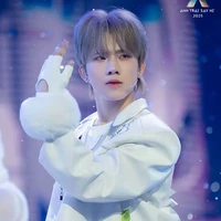 Cú đêm bay đến đây