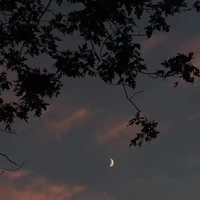 t/g thiếu nghị lực:_