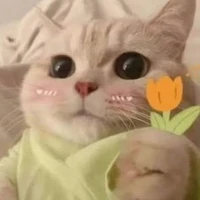 chít vì quá nhìu hint allgà🌷