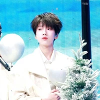 Nhiếp Vĩ Thần_V