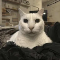 nhân vật quần chúng