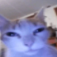 Hệ thống - [007]