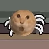 ? ? ?
