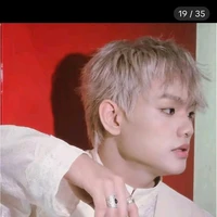 Bùi trường linh_ BTL