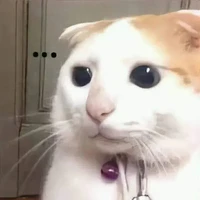 Động vật