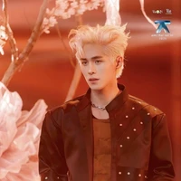 đᴏ̂̃ ɴʜᴀ̣̂ᴛ ᴛʀᴜ̛ᴏ̛̀ɴɢ 🦊