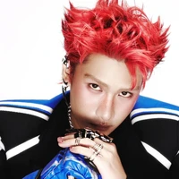 Đỗ Việt Tiến - vẹt đỏ