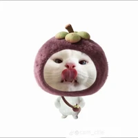 Bé ngoan Bác Hồ 🧏🏻‍♀️