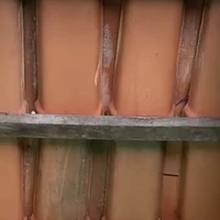 thầy thể dục